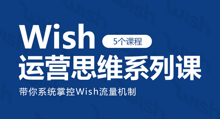 Wish运营思维系列课(5个课程)