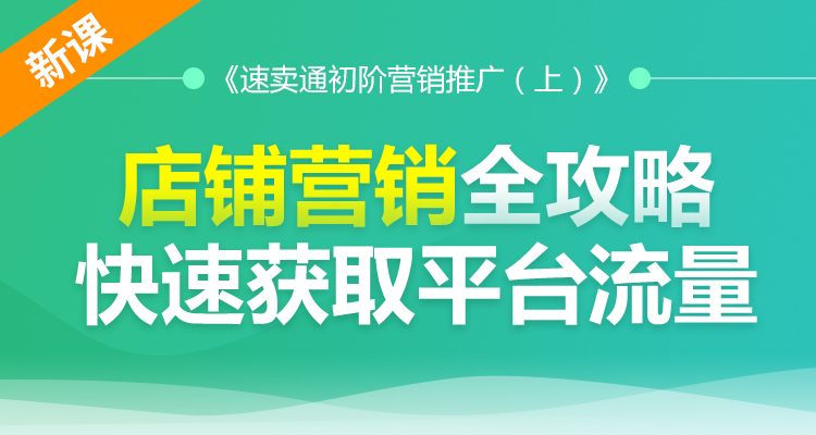 速卖通初阶营销推广(上)