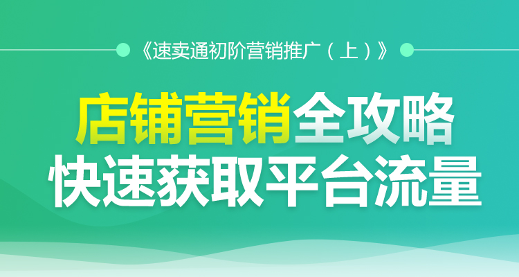 速卖通初阶营销推广(上)