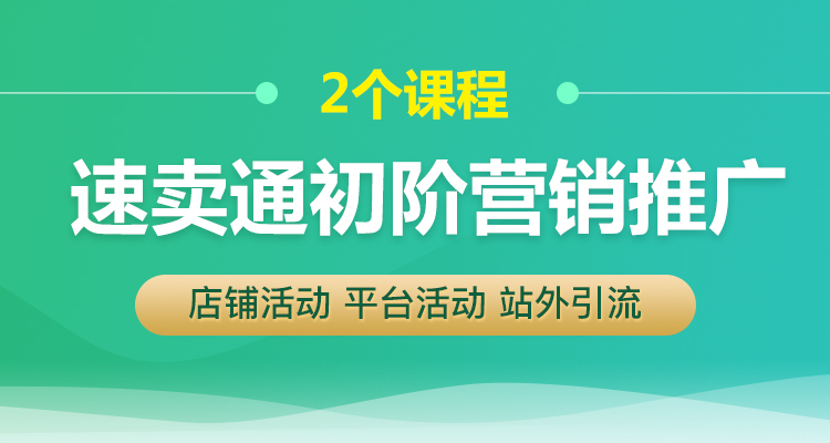 速卖通初阶营销推广(2个课程)