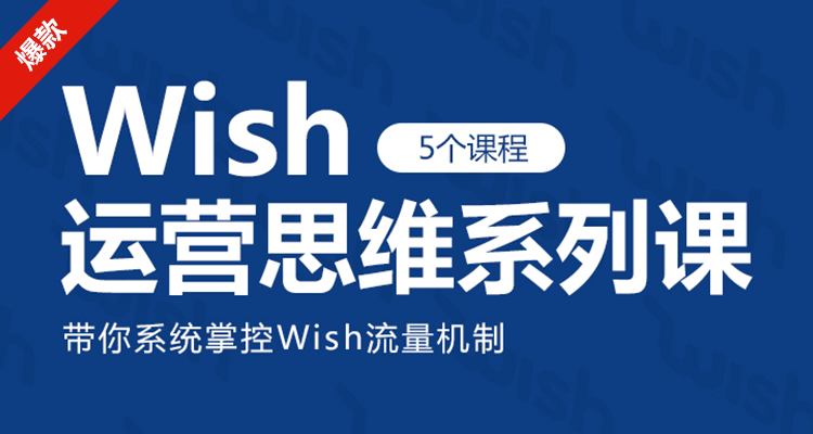 Wish运营思维系列课(5个课程)