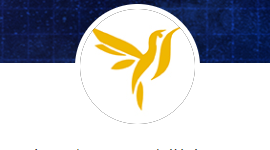 蜂鸟供应链专线小包