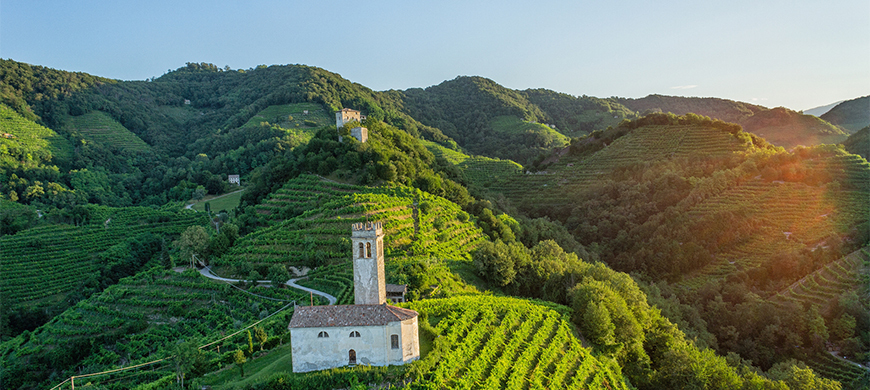 维多卡（Val D'Oca）- 来自意大利的顶级起泡酒