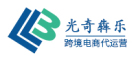光奇犇乐跨境电商代运营