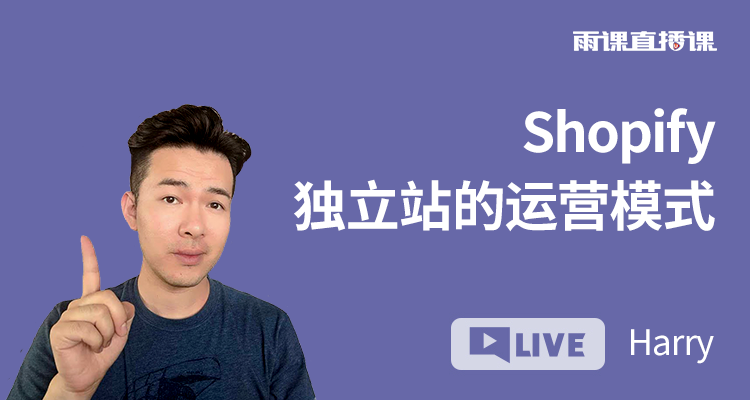 Shopify独立站的运营模式
