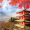 日韩观望台