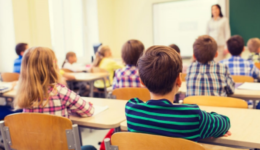 Shopee如何通过三个月孵化期？