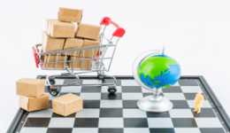 ozon中国卖家如何入驻,入驻条件是什么