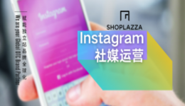 干货｜跨境独立站卖家品牌IG运营新思路