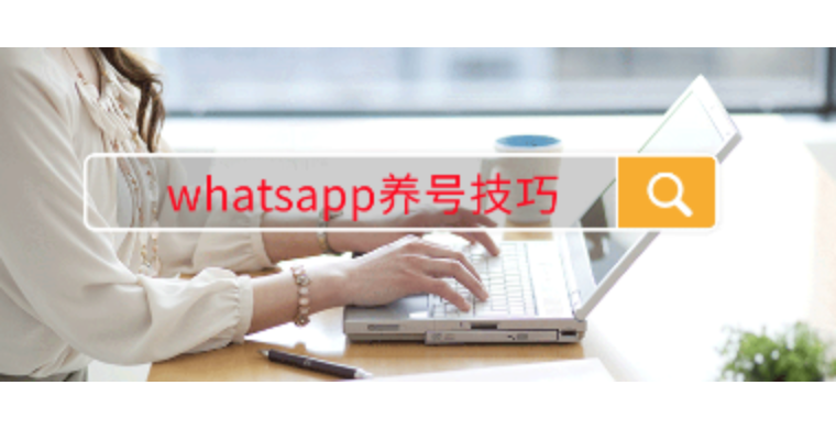 whatsapp养号技巧