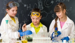 新手做跨境电商Shopee如何起步