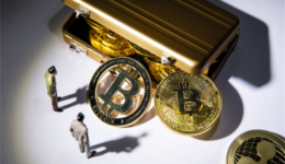 “專注市場下沉”“賦能街邊商店”聊聊Bukalapak的電商十年~