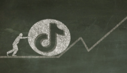 运营实操：独立站卖家如何开展TikTok网红营销