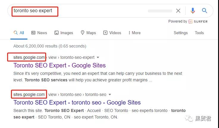 案例研究-谷歌算法盲区