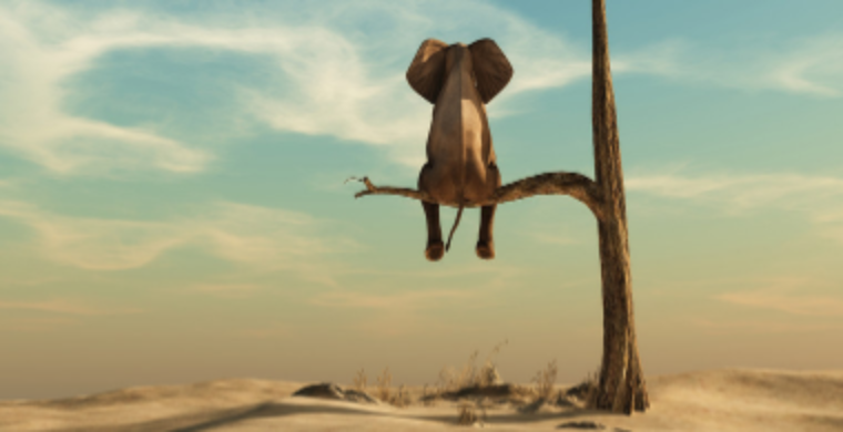 亿级大牌被封！他们的活路在哪？