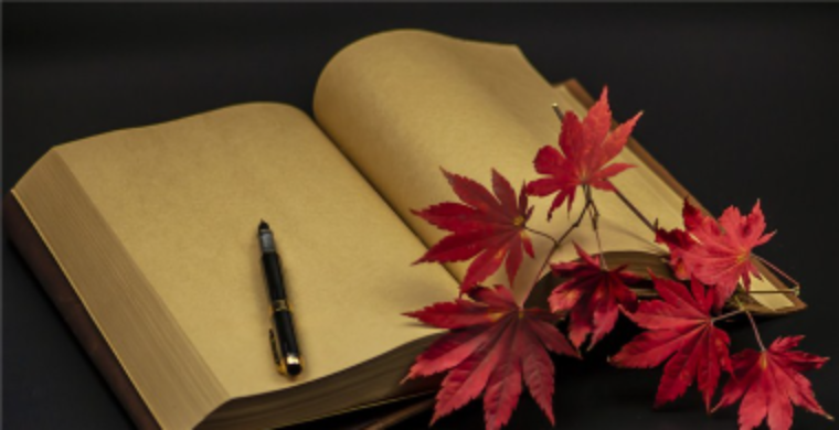 深圳大卖欺诈消费者被曝光，留给亚马逊卖家的思考是.