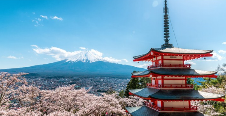 观点分享|成本涨、运费涨，跨境卖家如何备战下半年旺季？