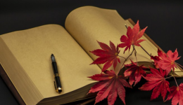 100家让你获得灵感的shopify店铺(下)