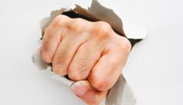 旺季玩法大公开，涉及灯具&家电、玩具、家纺、健康美容等多个品类……