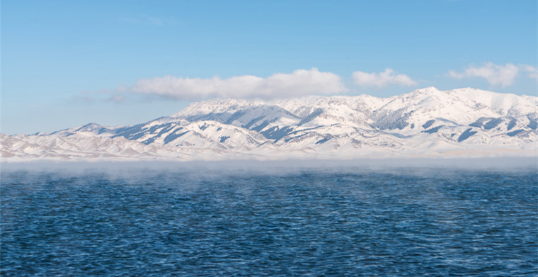 独立站市场大变天！行业大卖为什么开始疯狂砍“站群”