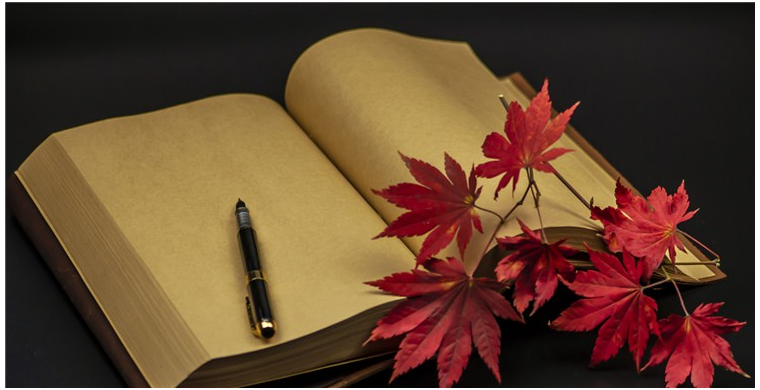 亚马逊又一潜力市场—埃及站上线