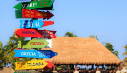 SHOPYY建站模板与装修