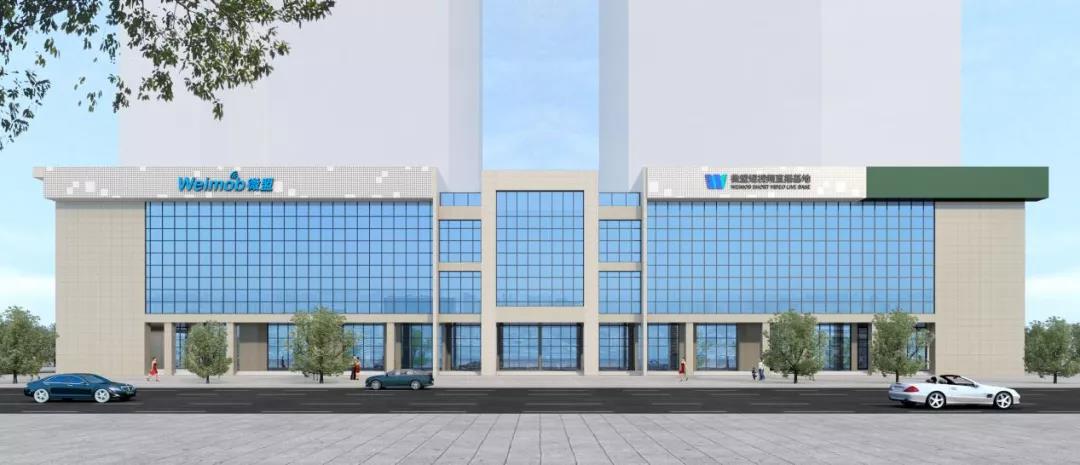 一夜之间上亿营收蒸发,卖家要借独立站弯道超车?