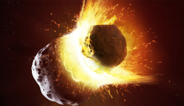 出口总额保持在30亿美元以上，这类爆款在冬天很畅销！