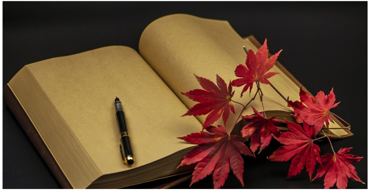 店铺申诉知识与技巧大揭秘（二）