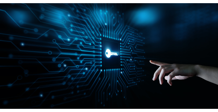 4天登上BSR！疑似又一起亚马逊“杀猪盘”骗局