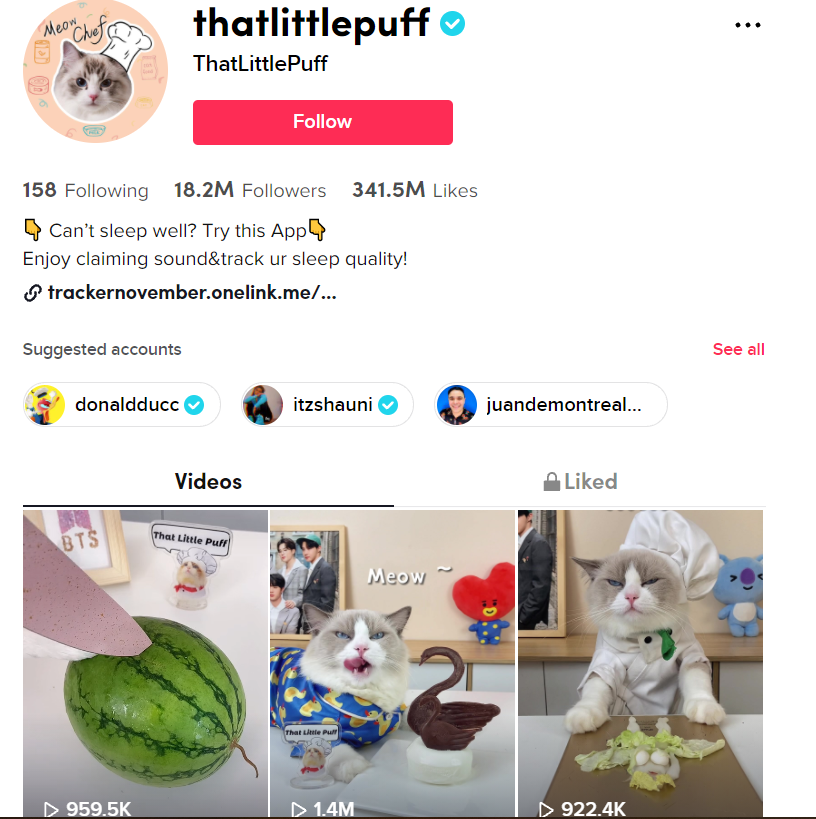 TikTok变现案例分析(一):thatlittlepuff集齐美食,萌宠,解压