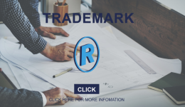 亚马逊新手卖家如何规避产品侵权，怎么样有效提高商标注册成功率？