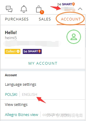 Allegro 平台操作语言设置及修改绑定邮箱步骤指引