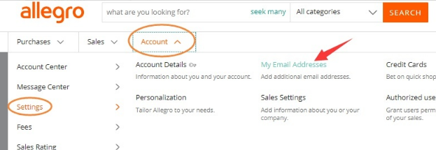 Allegro 平台操作语言设置及修改绑定邮箱步骤指引