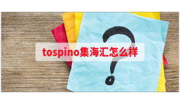 tospino集海汇怎么样
