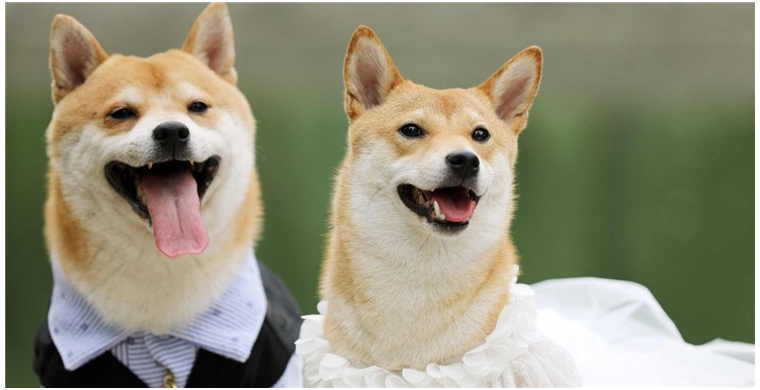 想做跨境电商，什么产品比较合适？