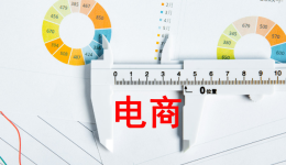 旺季跨境人眾生相