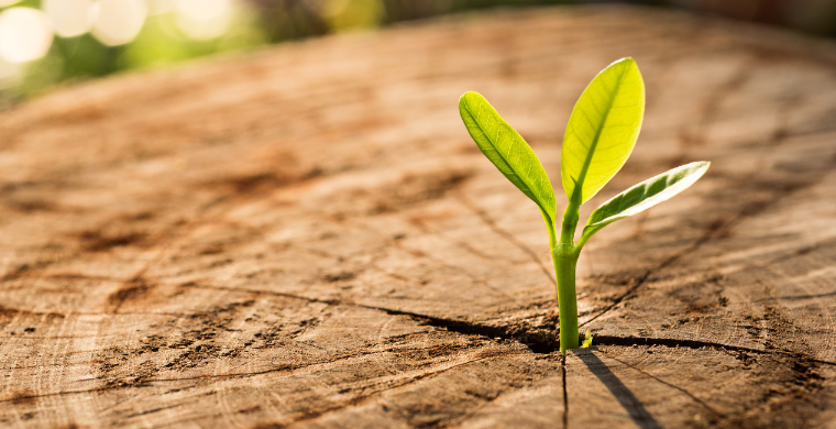 2022年倒计时！德国EPR法规即将来临，这些产品不合规将被停售？