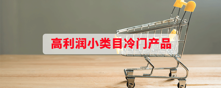 高利润小类目冷门产品