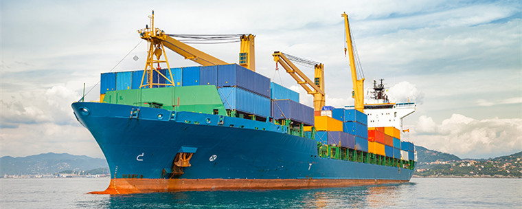 白鲸出海是干什么的