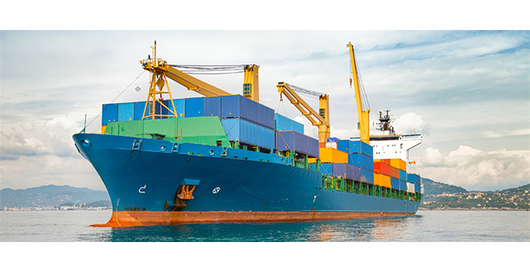 白鲸出海是干什么的