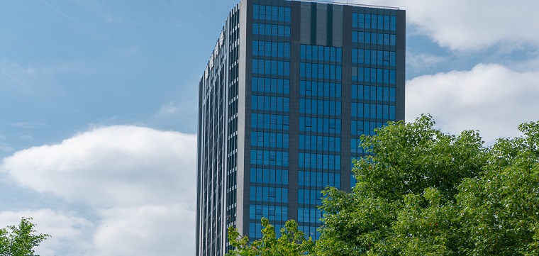 国内跨境电商上市公司有哪些