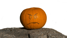 速卖通关于疫情影响摩洛哥物流时效通知