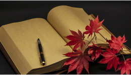 shopify独立站：shopify独立站的引流方式  （内部营销篇）