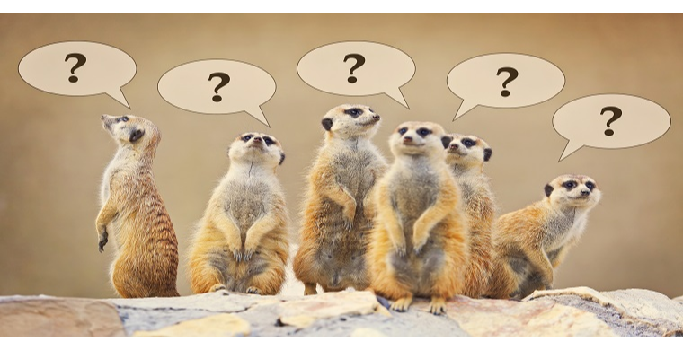 mercari封店的原因