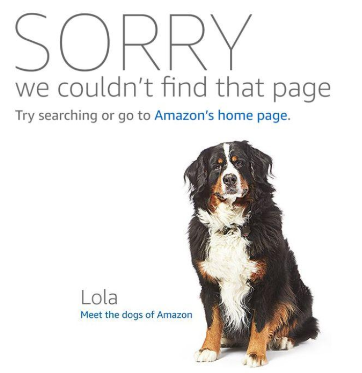 Listing信息被篡改，添加违禁词导致变狗应该如何自救？