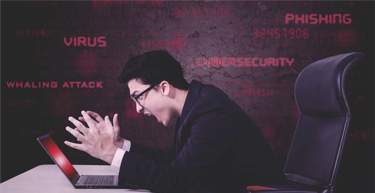 亚马逊法国站自发货权限被停用,是什么导致的,卖家该怎么解决?