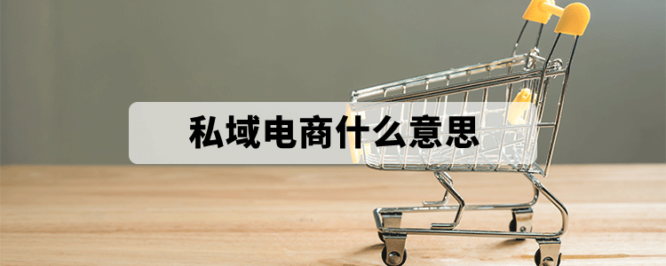私域电商什么意思