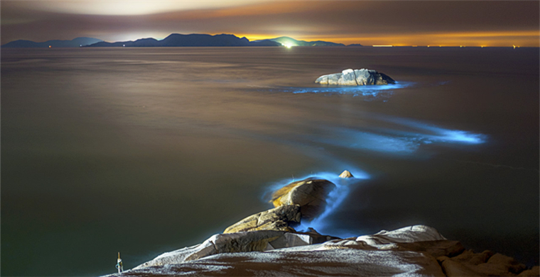 亚马逊运营工具简介