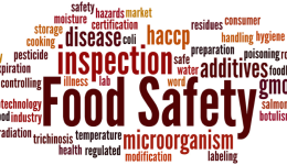 进口食品新赛道,还隐藏着哪些不为人知的商机?